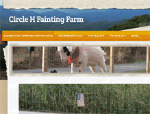 Tablet Screenshot of circlehfaintingfarm.com